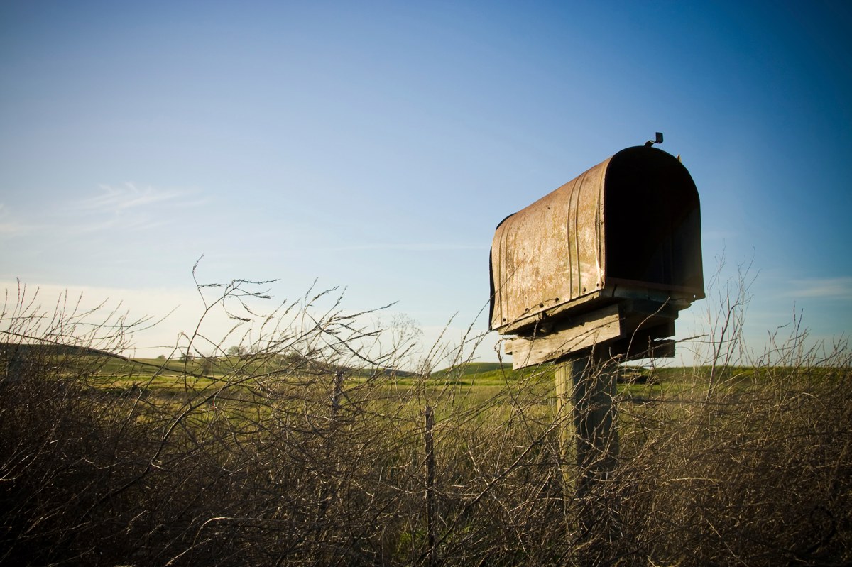 A rusty, old mailbox in a thicket of overgrown weeds sits empty with rolling fields in the background.